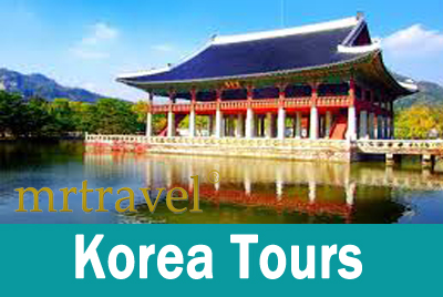 mr travel tours