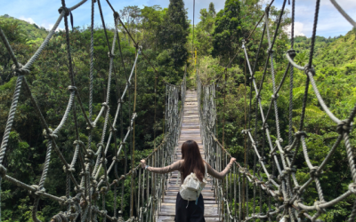 The Rise of Solo Travel: Why More Women Are Exploring the World on Their Own in 2025